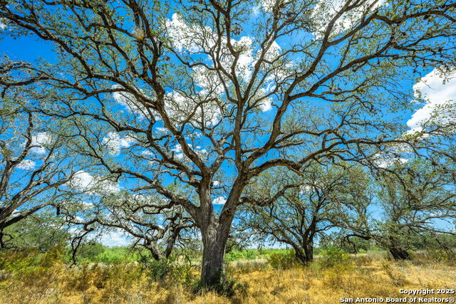 Image 32 of 47 For 1700 Bruce