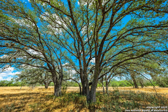 Image 33 of 47 For 1700 Bruce