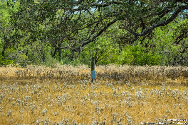 Image 34 of 47 For 1700 Bruce