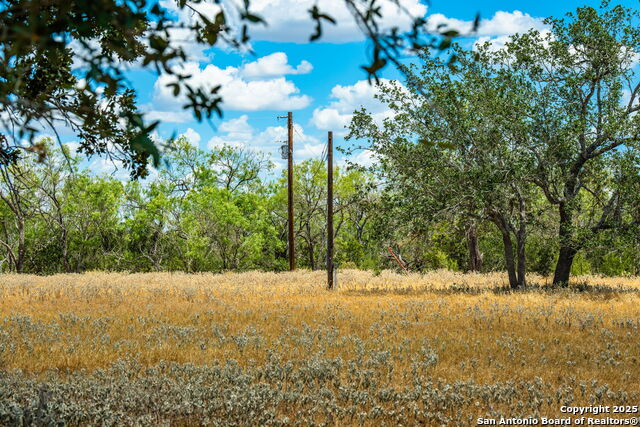 Image 35 of 47 For 1700 Bruce