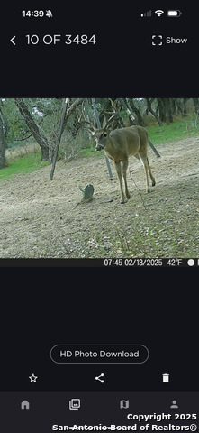 Image 36 of 47 For 1700 Bruce