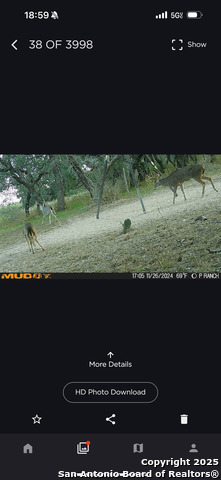 Image 37 of 47 For 1700 Bruce