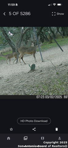 Image 38 of 47 For 1700 Bruce