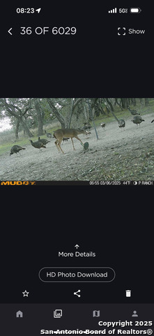 Image 39 of 47 For 1700 Bruce