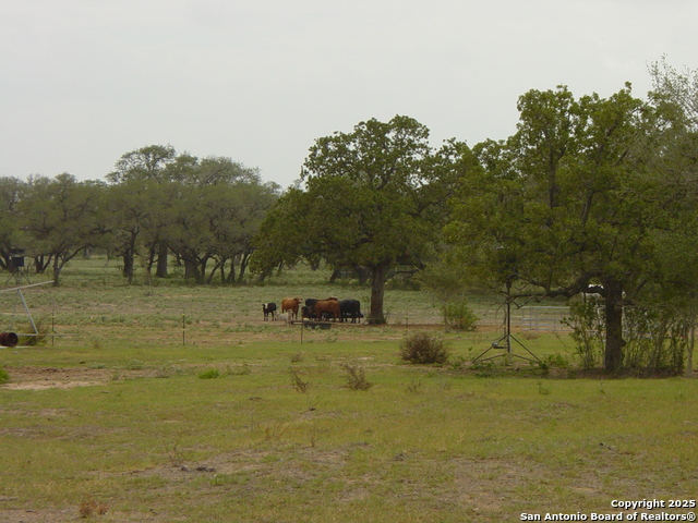 Image 40 of 47 For 1700 Bruce