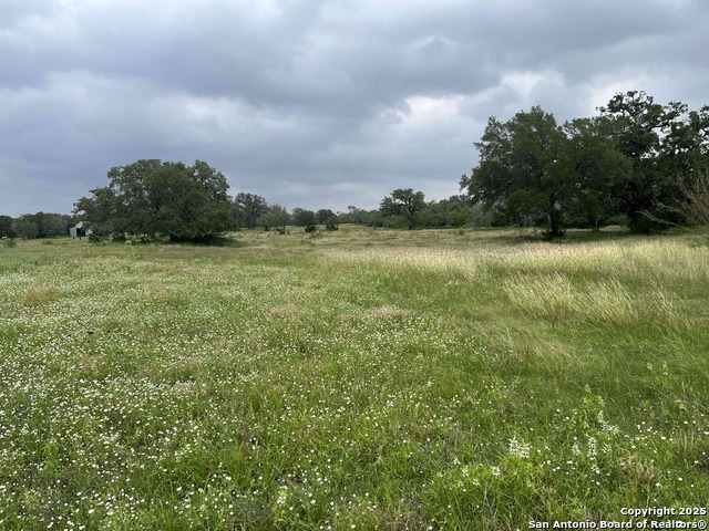 Image 43 of 47 For 1700 Bruce