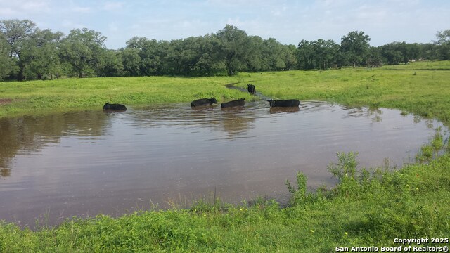 Image 46 of 47 For 1700 Bruce