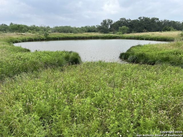 Image 47 of 47 For 1700 Bruce