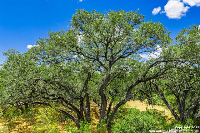 Image 7 of 47 For 1700 Bruce