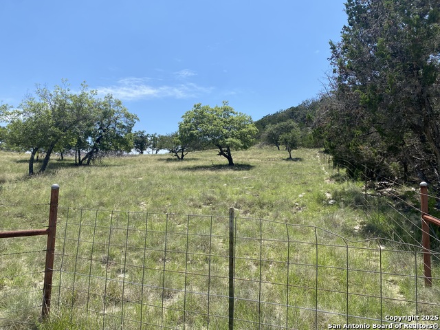 Image 11 of 12 For 208 Saddle Wood