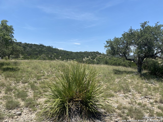 Image 4 of 12 For 208 Saddle Wood