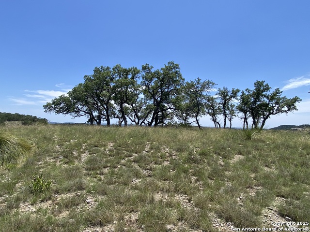 Image 9 of 12 For 208 Saddle Wood