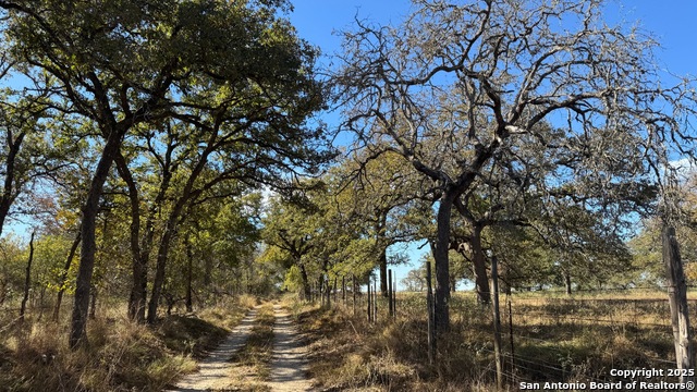 Listing photo id 0 for 19764 State Highway 123 S