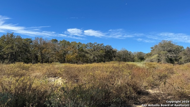 Listing photo id 1 for 19764 State Highway 123 S