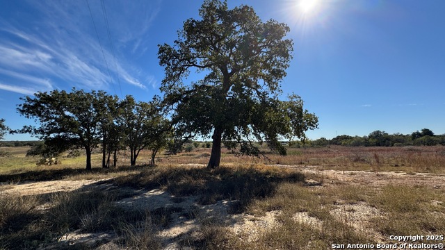 Listing photo id 7 for 19764 State Highway 123 S