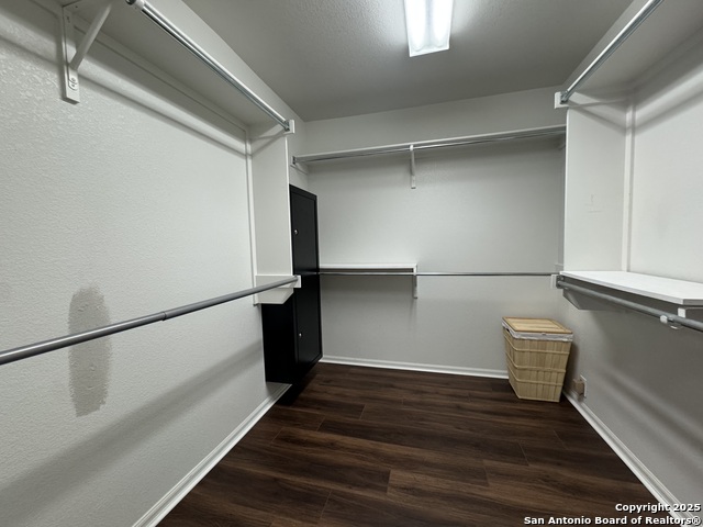 Image 12 of 21 For 15766 Cotton Tail