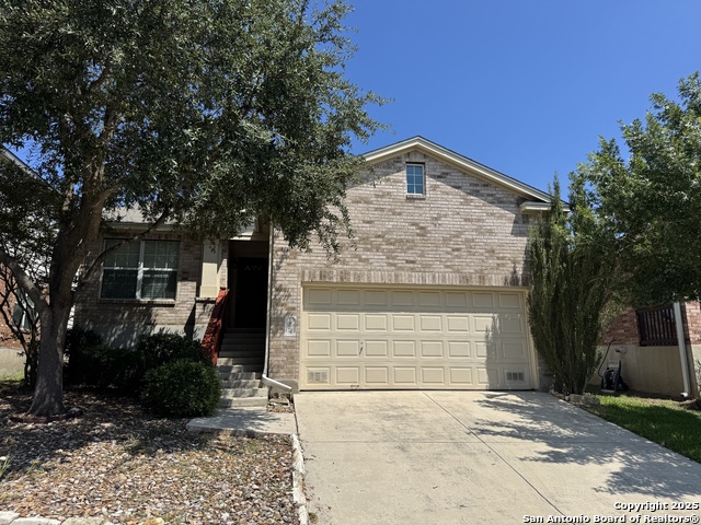 Image 2 of 21 For 15766 Cotton Tail