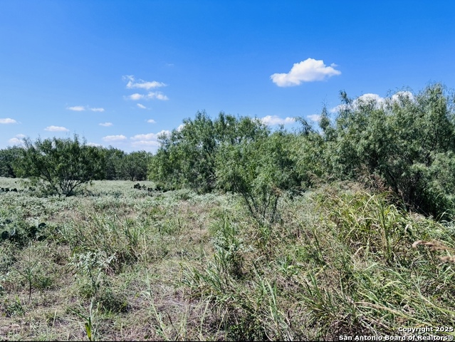 Image 6 of 39 For 0 State Highway 16 N