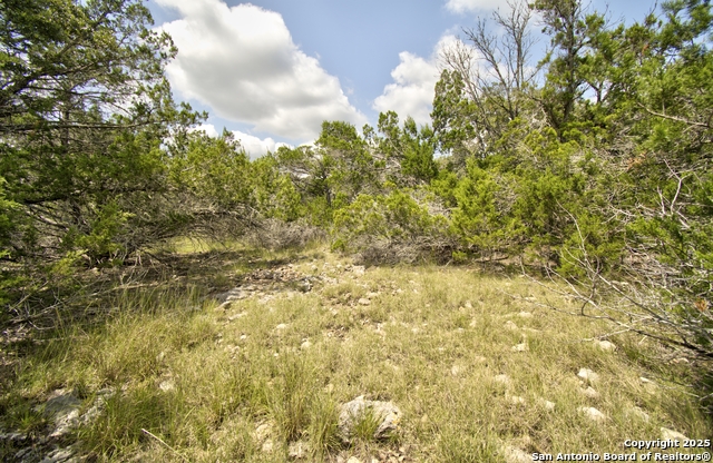 Image 10 of 15 For Lot 16 Paloma Ranch Rd