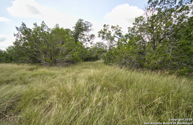 Image 5 of 15 For Lot 16 Paloma Ranch Rd