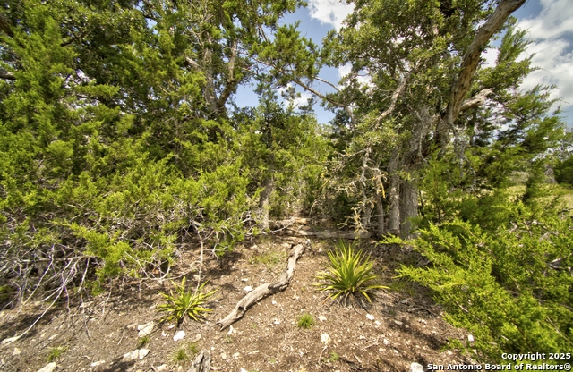 Image 6 of 15 For Lot 16 Paloma Ranch Rd