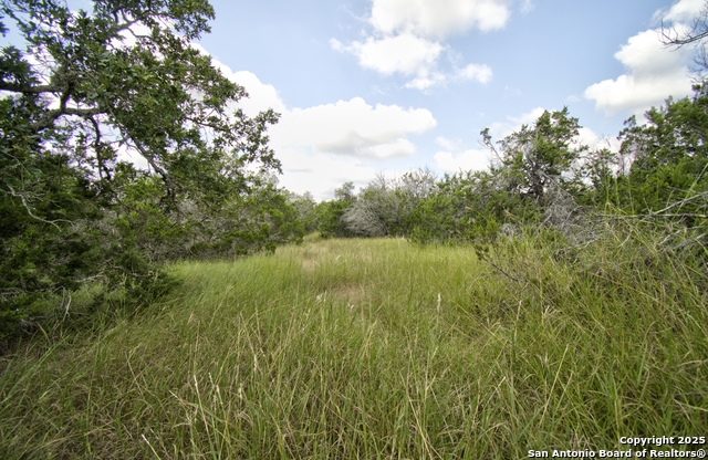 Image 7 of 15 For Lot 16 Paloma Ranch Rd