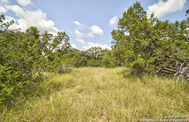 Image 8 of 15 For Lot 16 Paloma Ranch Rd