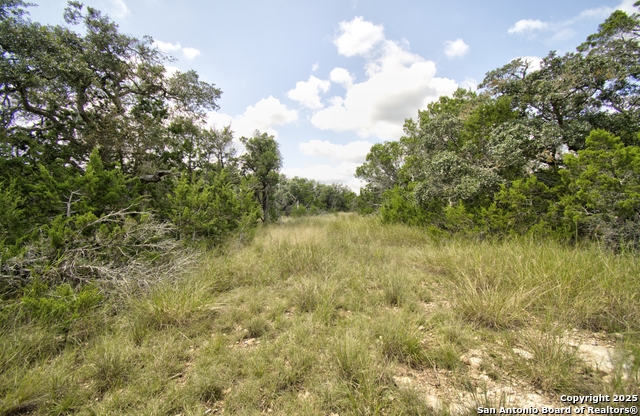 Image 9 of 15 For Lot 16 Paloma Ranch Rd