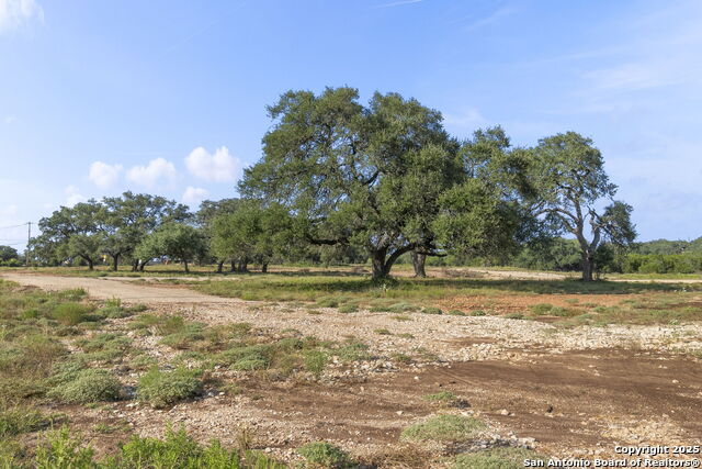 Image 10 of 17 For 154 Lone Oak