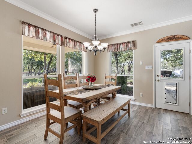 Image 13 of 51 For 1010 Wild Flower