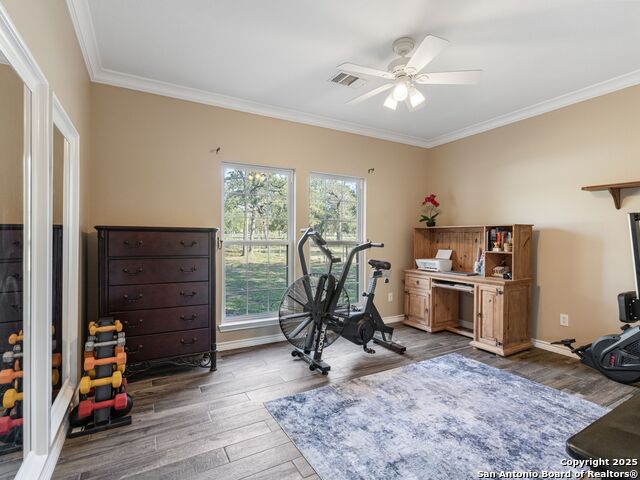 Image 26 of 51 For 1010 Wild Flower