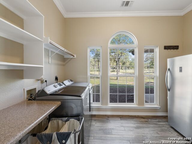 Image 28 of 51 For 1010 Wild Flower