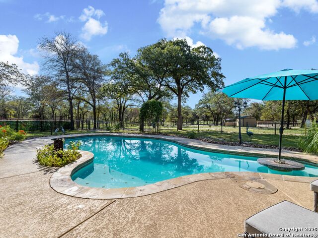 Image 33 of 51 For 1010 Wild Flower