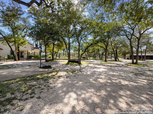 Image 39 of 51 For 1010 Wild Flower