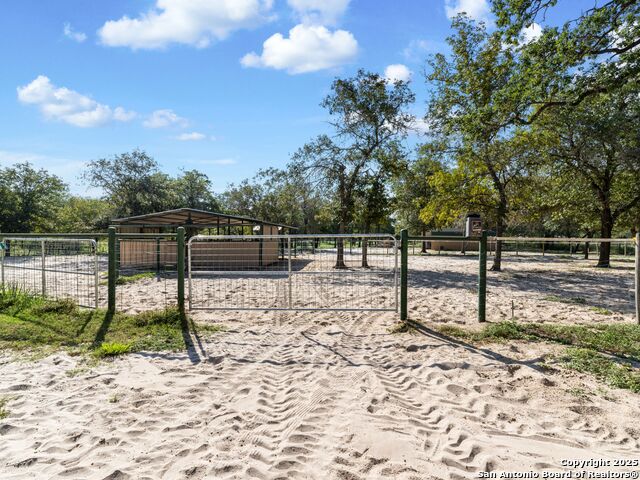 Image 43 of 51 For 1010 Wild Flower