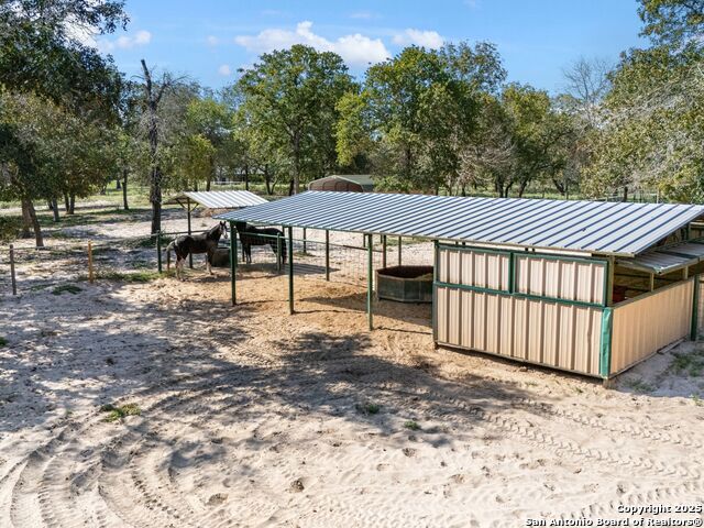 Image 45 of 51 For 1010 Wild Flower