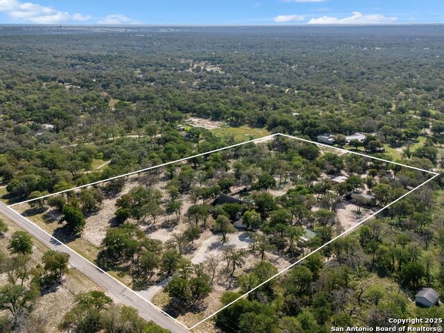 Image 49 of 51 For 1010 Wild Flower