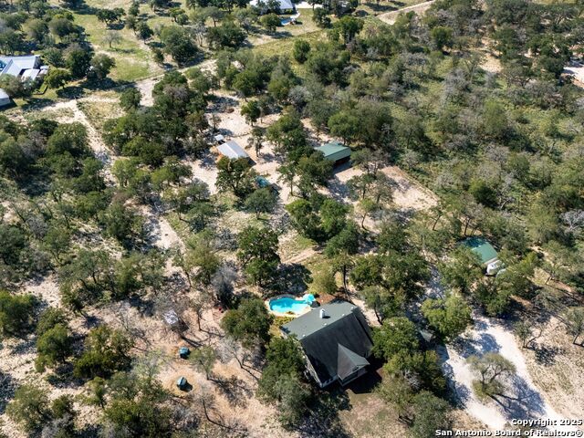 Image 50 of 51 For 1010 Wild Flower