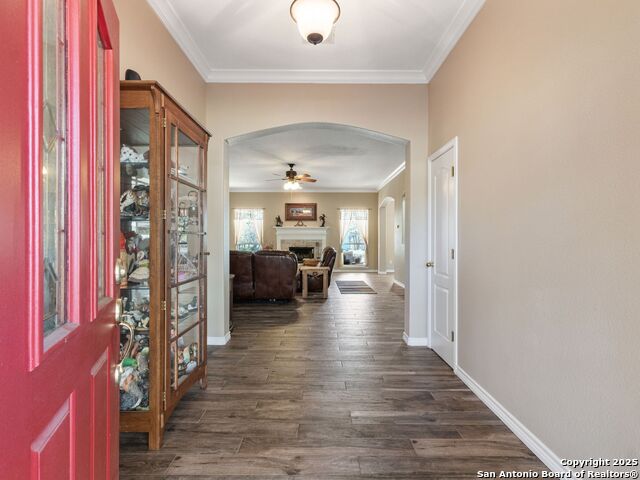 Image 9 of 51 For 1010 Wild Flower