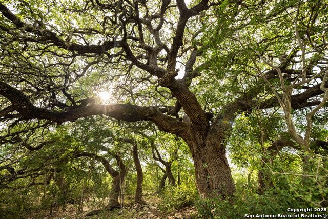 Image 49 of 50 For 362 Coneflower Drive