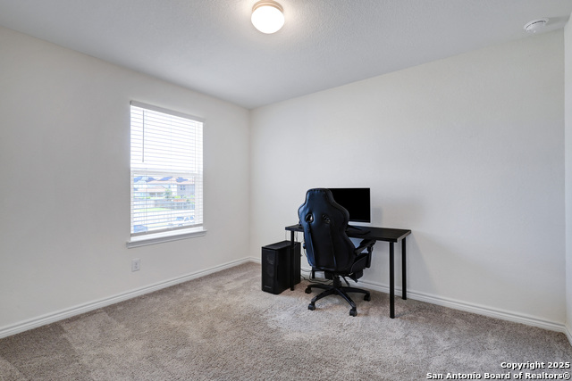 Image 25 of 31 For 11526 Amberina