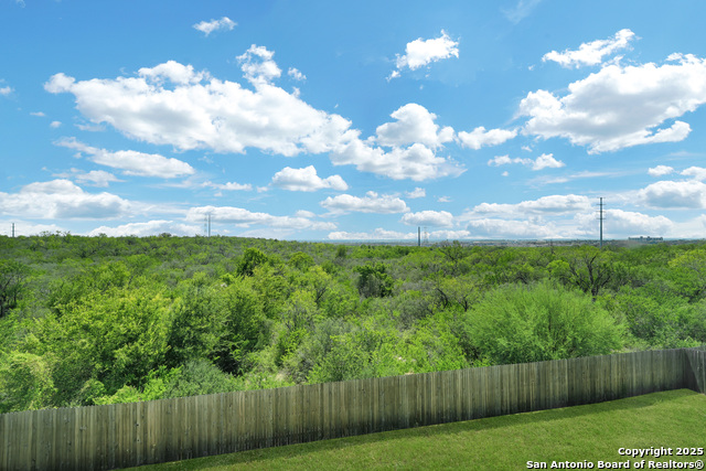 Image 27 of 31 For 11526 Amberina