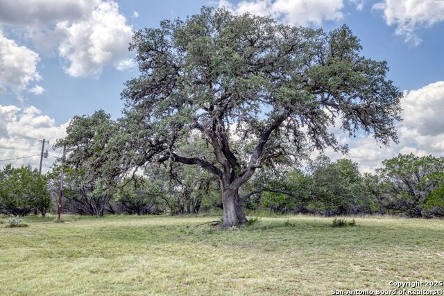 Image 7 of 78 For 565 Loop Rd.