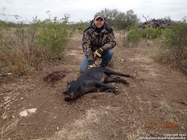 Image 51 of 51 For 000 Fritter Lane