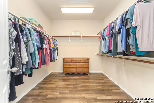 Image 19 of 31 For 511 Redbird Song