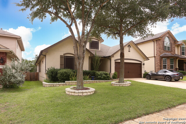 Image 2 of 31 For 511 Redbird Song