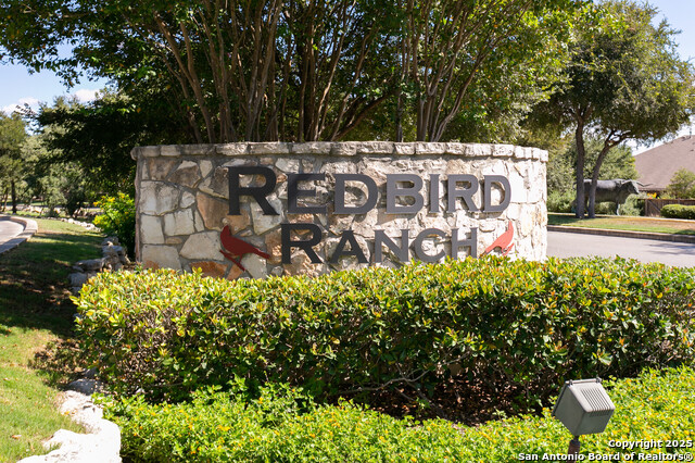 Image 27 of 31 For 511 Redbird Song