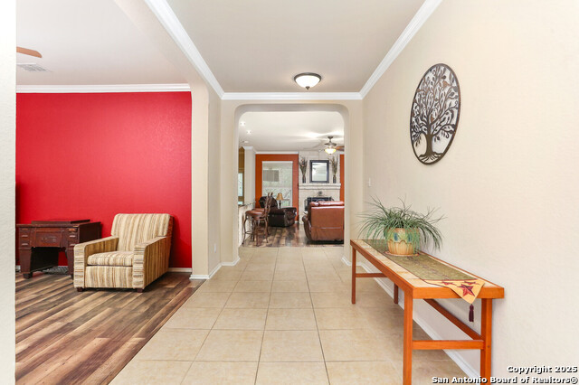 Image 7 of 31 For 511 Redbird Song