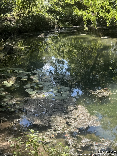 Image 15 of 16 For 420 Canal  