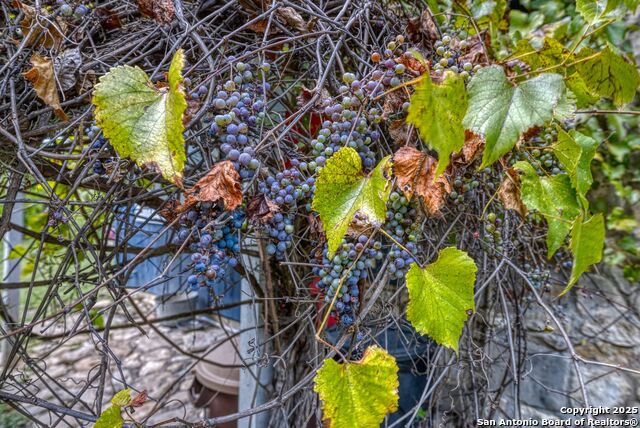 Image 13 of 80 For 394 Squirrel Bend